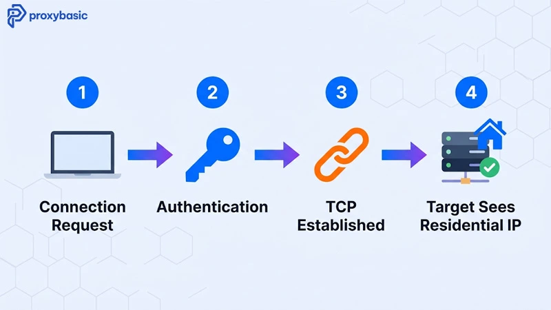 How a SOCKS5 residential proxy works: 4-step connection flow from client to target server
